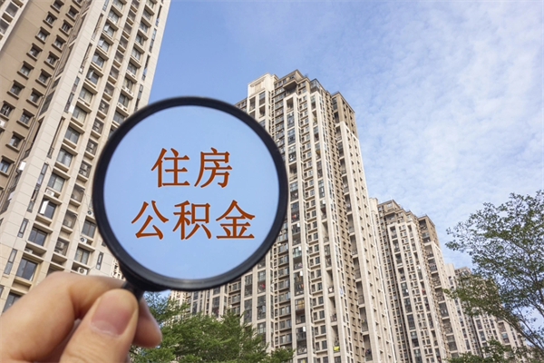 中卫离职可以取出公积金吗（离职可以取公积金嘛）
